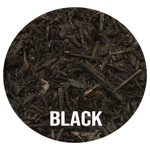 Black Mulch
