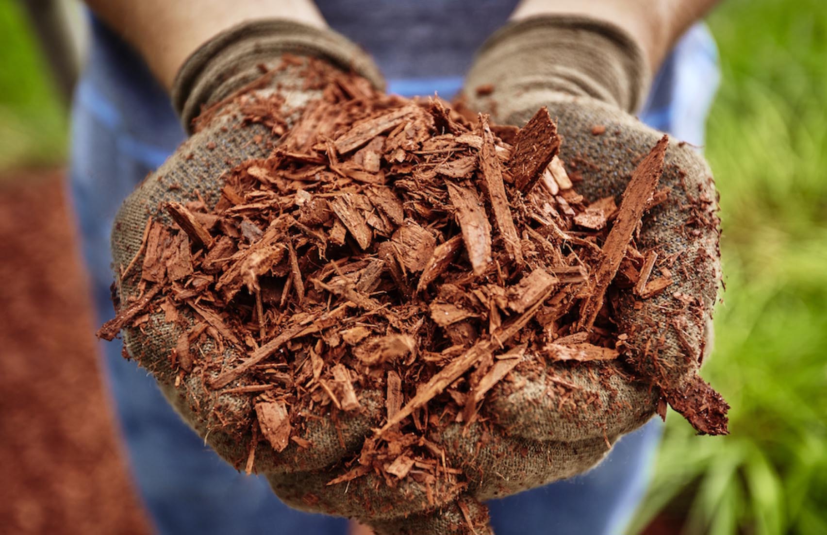 Mulch Products